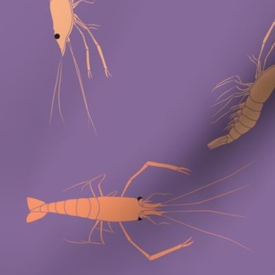 large - shrimp on purple