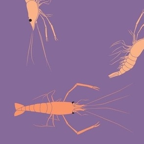 large - shrimp on purple