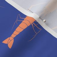 large - shrimp on blue