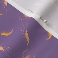 small - shrimp on purple