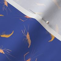 small - shrimp on blue