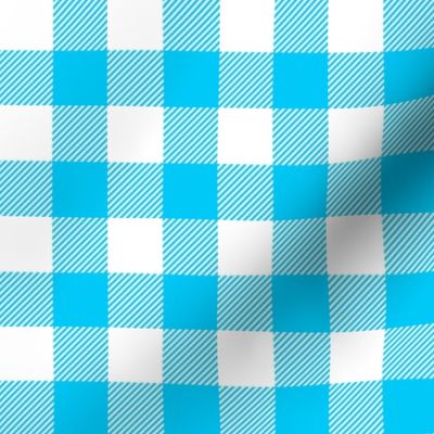 1" blue gingham