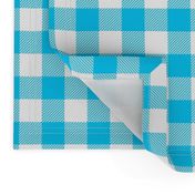 1" blue gingham