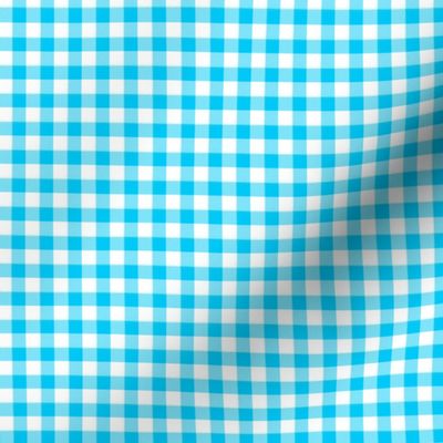small blue gingham