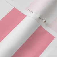 Large Pink Awning Stripe Pattern Horizontal in White