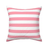 Large Pink Awning Stripe Pattern Horizontal in White