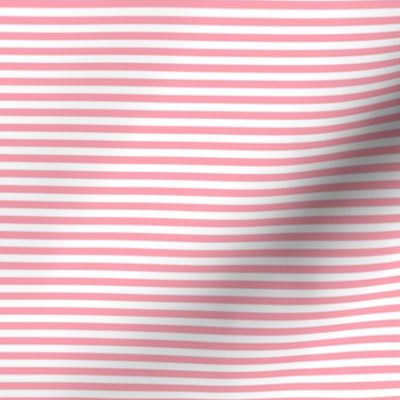 Small Pink Bengal Stripe Pattern Horizontal in White