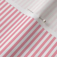 Small Pink Bengal Stripe Pattern Horizontal in White