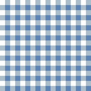 1" pacific blue gingham