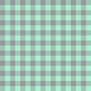 1" mint and gray gingham