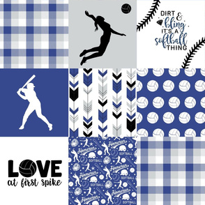 Softball//Volleyball//Eagles - Wholecloth Cheater Quilt