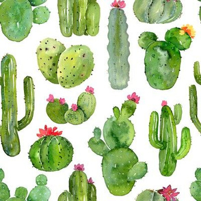 Green watercolor cacti on white