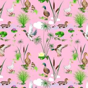 Cute ducks art ,Goose,geese,Birds illustration,pattern 