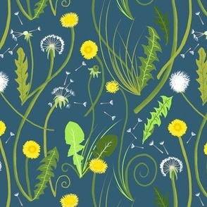 Dandelion Dreams, Midnight Blue