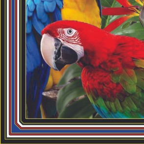 New Parrot Panel