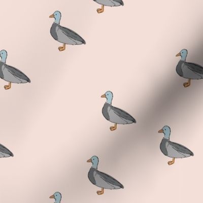 Duck duck and duck sweet spring nursery design kids pattern boho mallard friends gray on soft pale