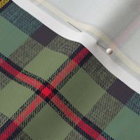 MacLeod of Harris / green MacLeod tartan, 6" muted faded, slubs, grey stripe and bright red/yellow