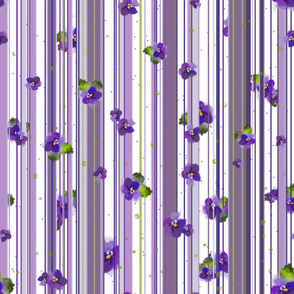 Violet stripe-light