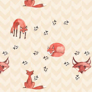 foxes_scatter