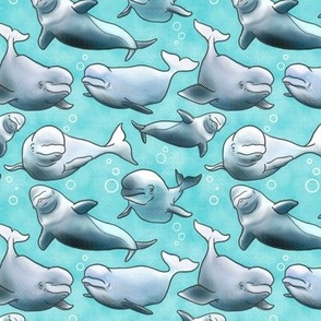 Beluga Whales & Bubbles