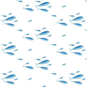 Blue fish on white