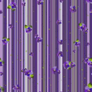 Violets stripe- dark 