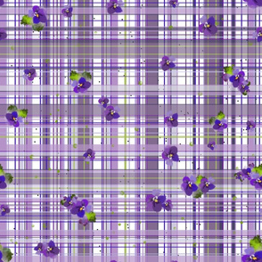Violets plaid 