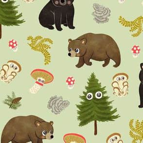 Forest bears 