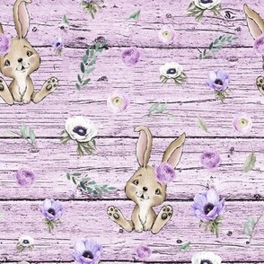 purple wood rabbit