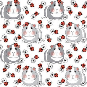 medium guinea pigs with ladybugs and flowers on white