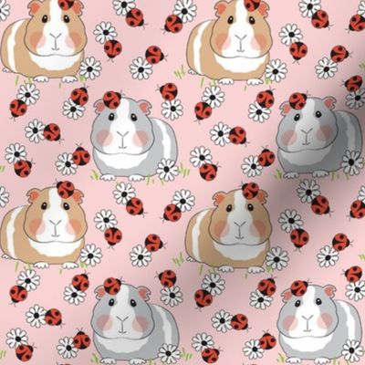 medium guinea pigs with ladybugs and flowers on pink