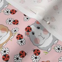 medium guinea pigs with ladybugs and flowers on pink