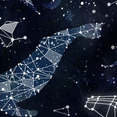 Whale constellations extra large