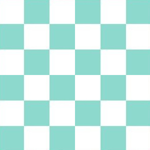 Aqua & White Checker