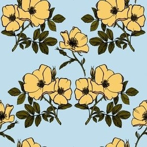 Vintage wild roses (yellow flowers on sky blue)