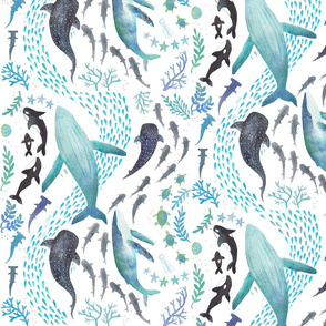 Sharks,  Humpback Whales, Orcas & Turtles Ocean Print - Smaller Scale