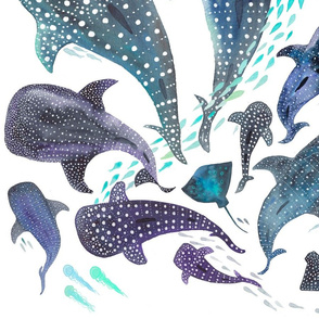 Whale Shark, Ray & Sea Creature Play - Larger Print