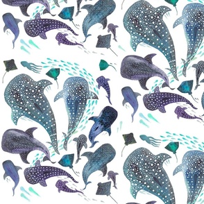 Whale Shark, Ray & Sea Creature Play Print - Smaller Print 