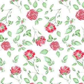 Watercolor roses white background repeat_30x45