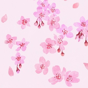 Sakura [morning pink] large