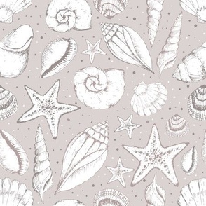 Nude pastel seashells //  summer and holiday print