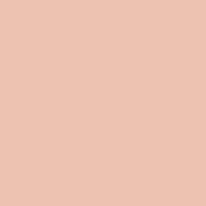 Solid Peach Blush Color - From the Official Spoonflower Colormap