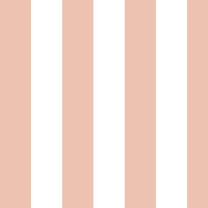 Large Peach Blush Awning Stripe Pattern Vertical in White