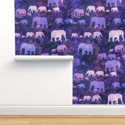 Purple elephants ...