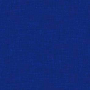 5 Blues Textured #1c4292