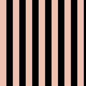 Peach Blush Awning Stripe Pattern Vertical in Black