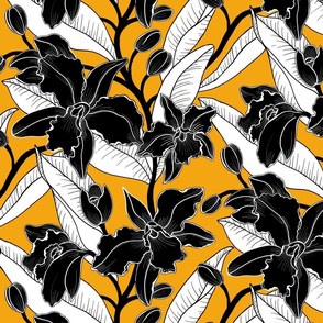 medium-black white orange orchid 2020