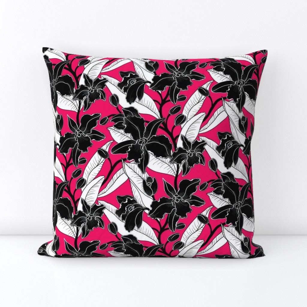 small-black white fuscia orchid 2020