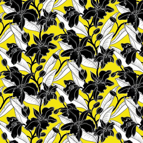 small-black white yellow orchid 2020