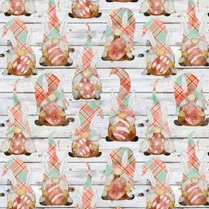 Spring Plaid Easter Bunny Gnomes on Shiplap - medium scale